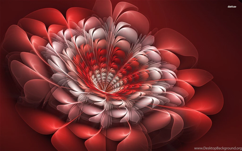 Animated Flower Images And Wallpapers Download