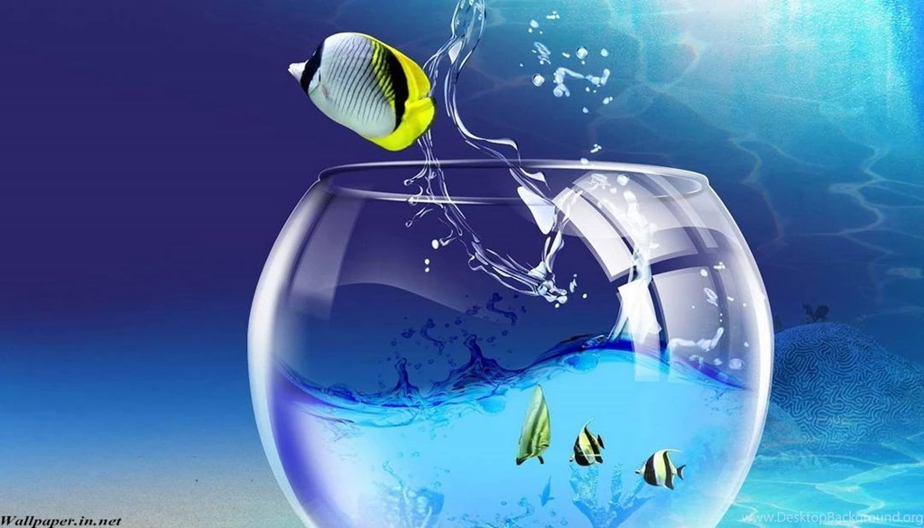 Animated Moving Wallpapers For Mobile Free Download Best HD ...