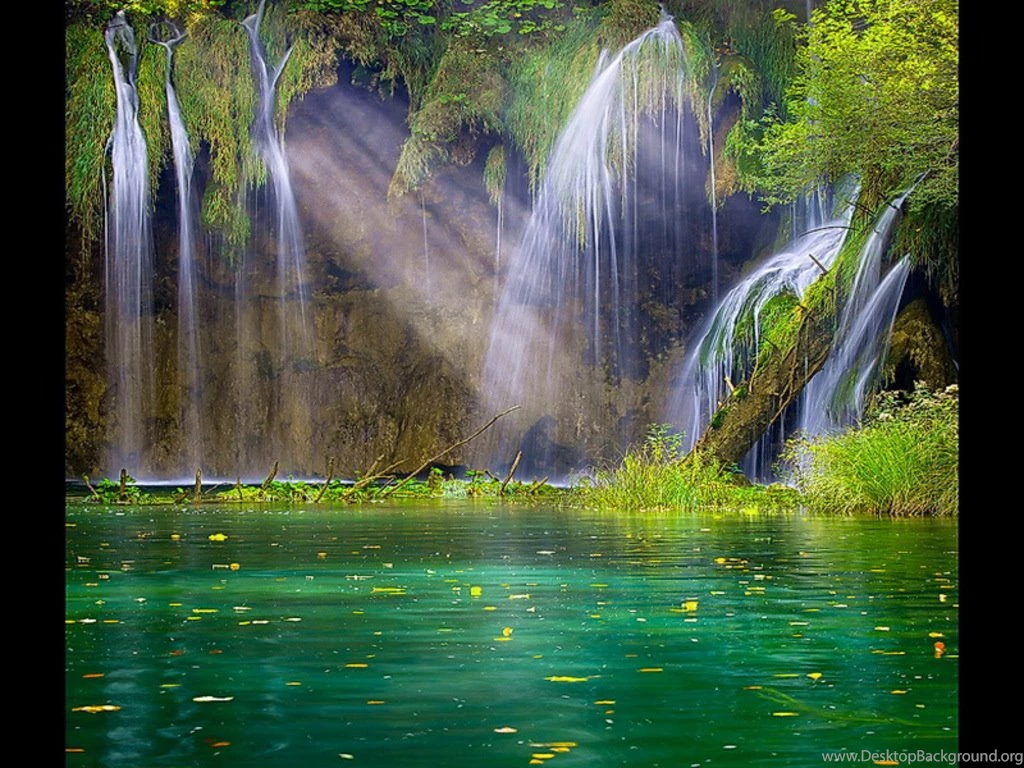 Free Animated Aquarium Screensavers Download