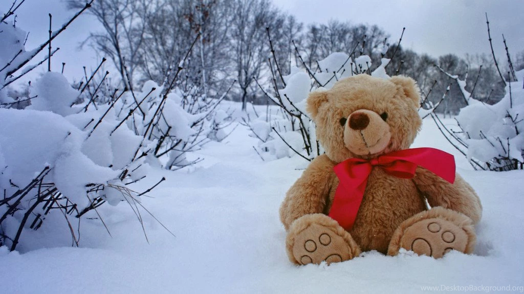25 Smart Looking Teddy Bear Wallpapers – Life Quotes