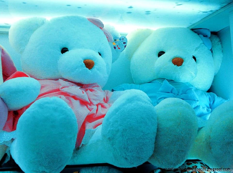 Cute Blue Bear Wallpapers