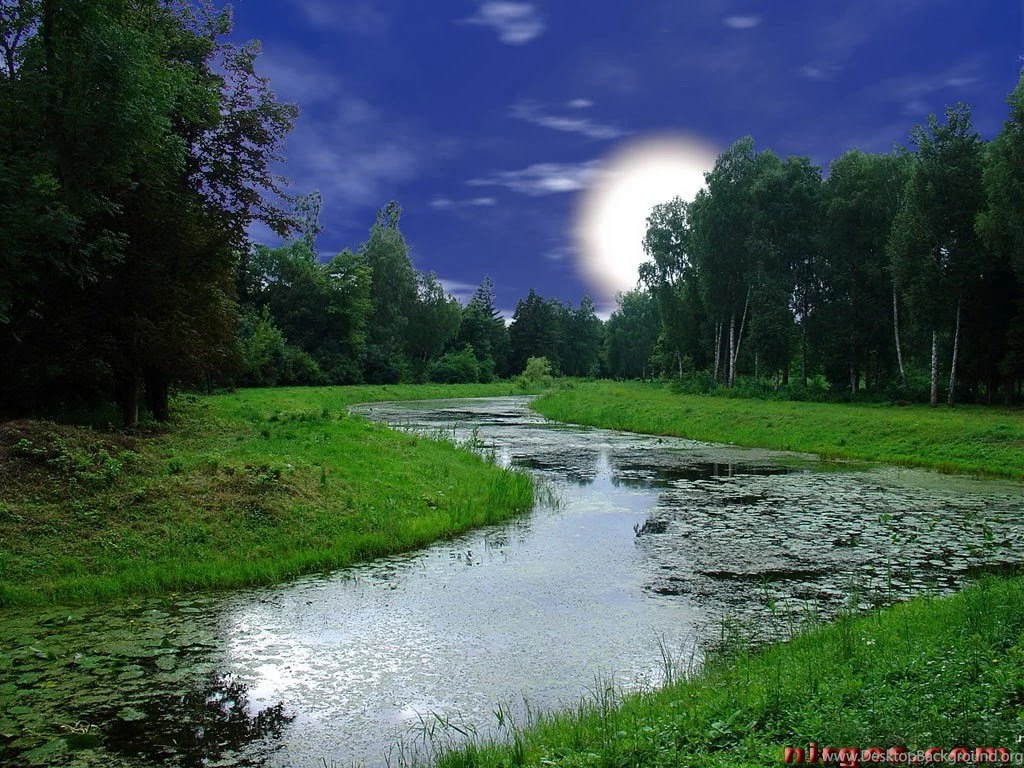 Computer Desktop Wallpapers Free Download Wallpapers High Definition