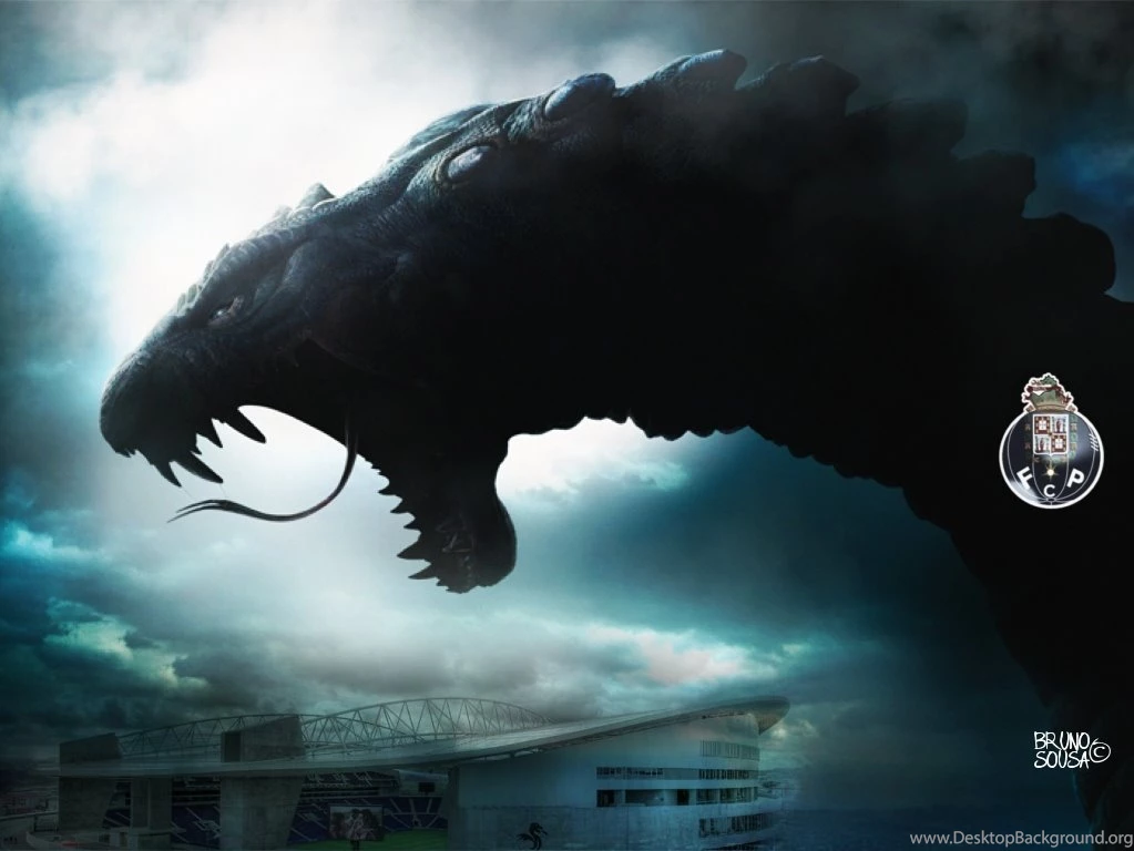 Dragon Picture Image Gallery Photonesta