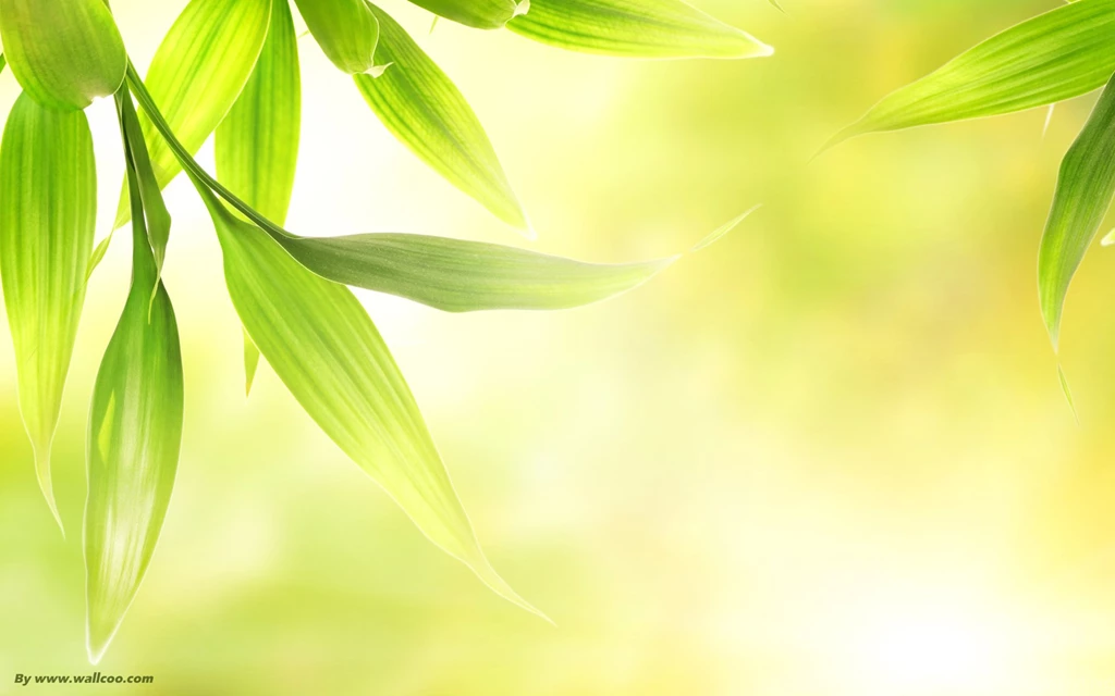 Leaves Wallpapers