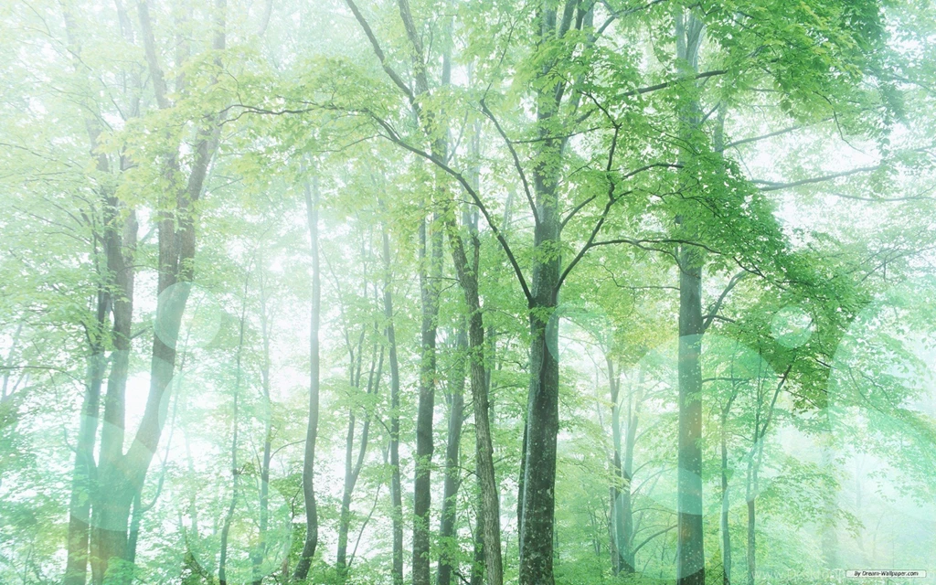 Autumn, Sandbox, Leaves, Wallpaper, Yellow, Trees, Nature, Images ...