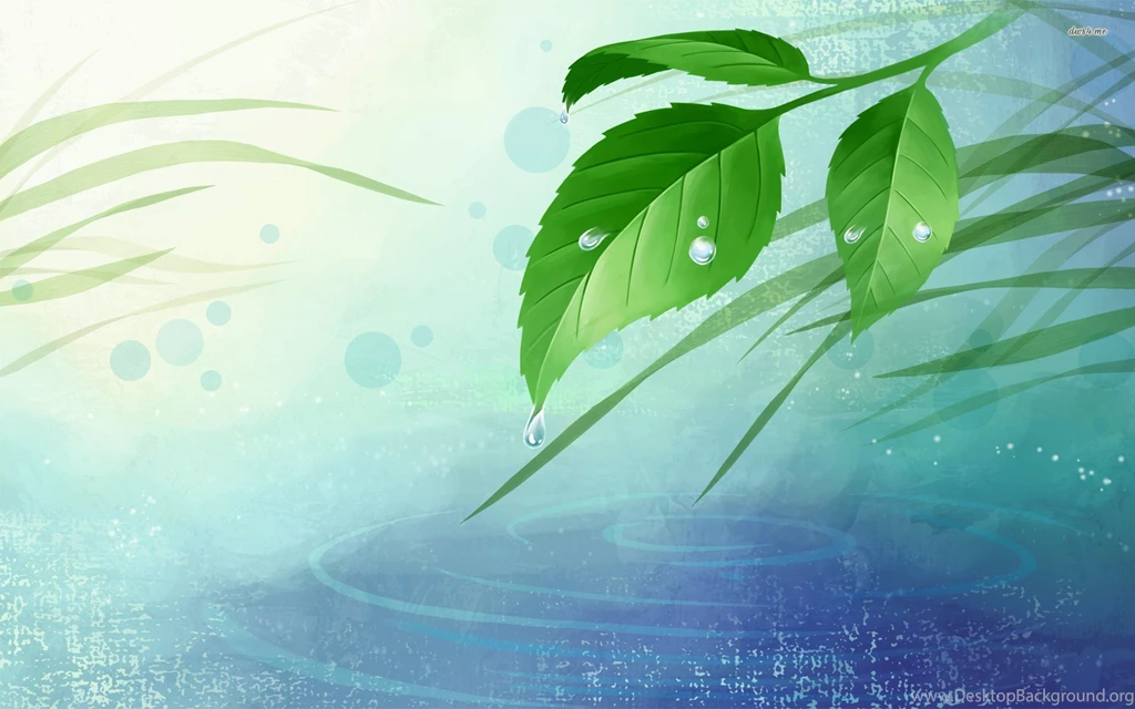 Droplets On Leaves Wallpapers   ImgMob