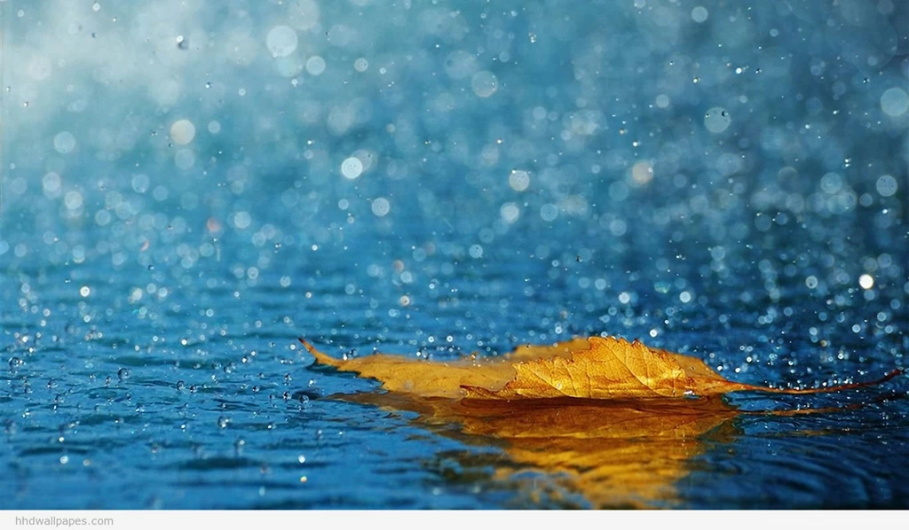 Hd Wallpapers 1366x768 002 HD Widescreen Wallpapers