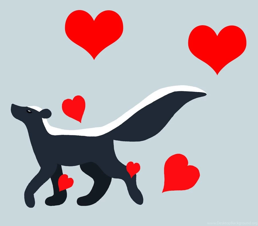 Skunk Wallpapers By Chili19 On DeviantArt