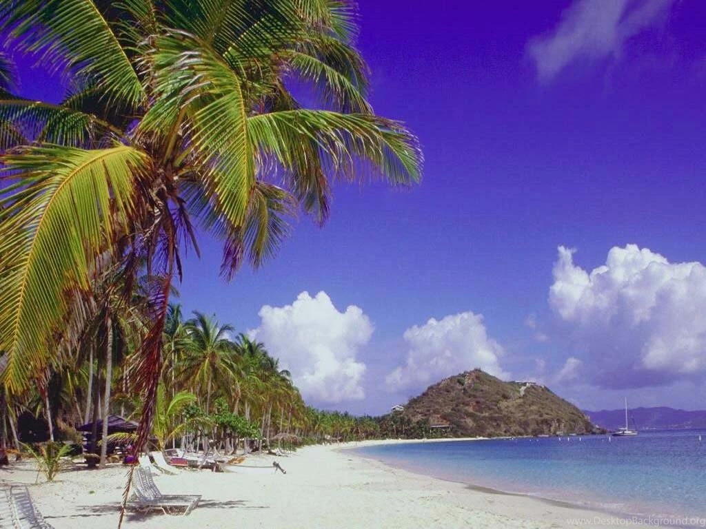 Free Computer Wallpapers