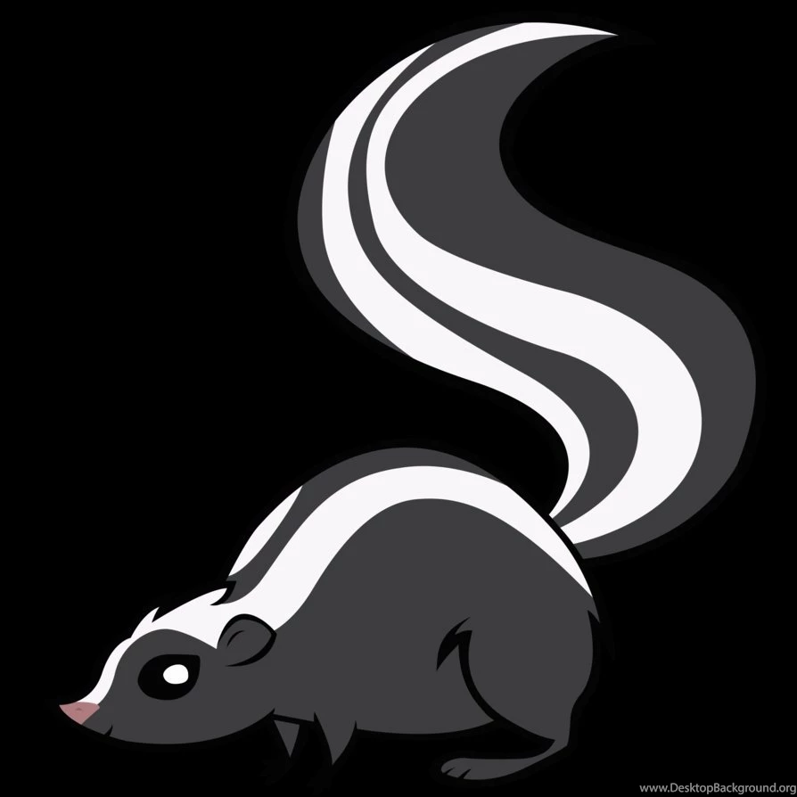Skunk By BonesWolbach On DeviantArt