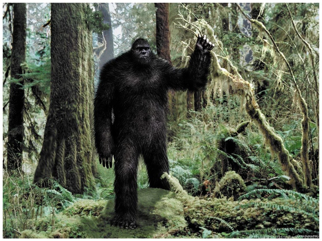 Other: Bigfoot Skunk Ape Sasquatch Grassman Yeti Wallpapers ...