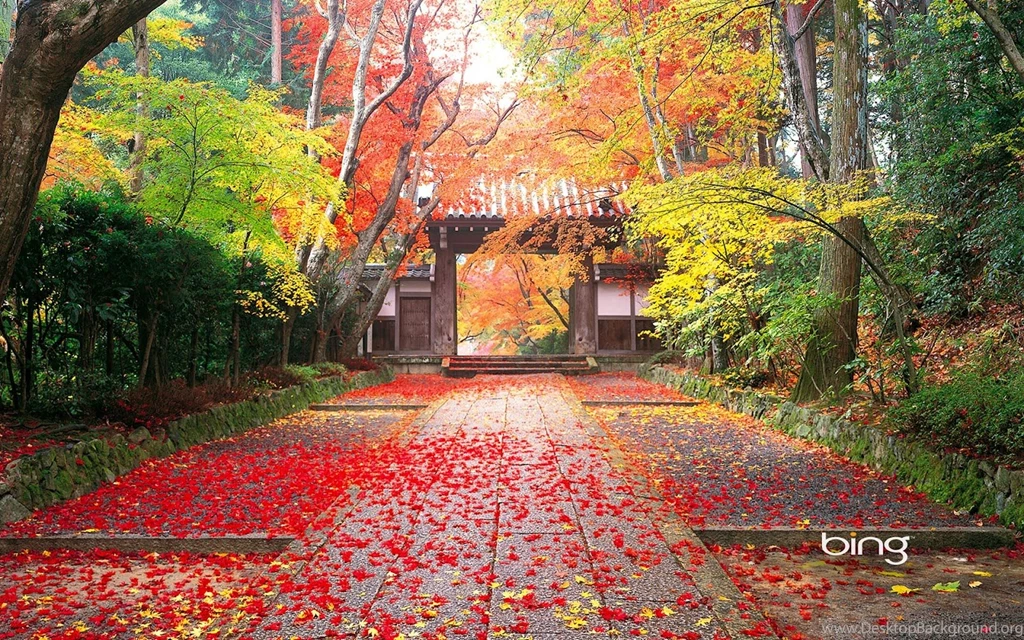 Full Hd High Resolution Wallpaper,desktop Wallpapers