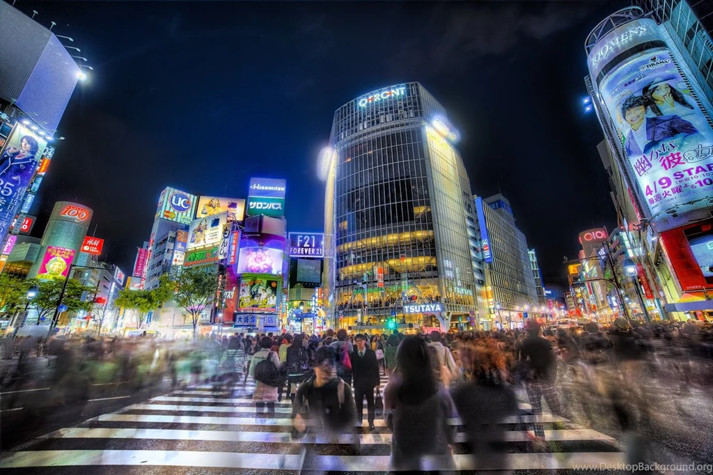 Hato Bus Tokyo Bus Tour – Best Things To Do In Japan