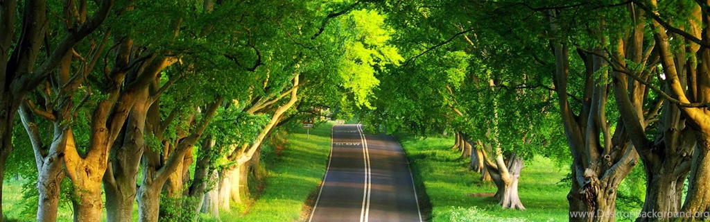 Download Wallpapers 3840x1200 Road, Asphalt, Trees, Marking, Double ...