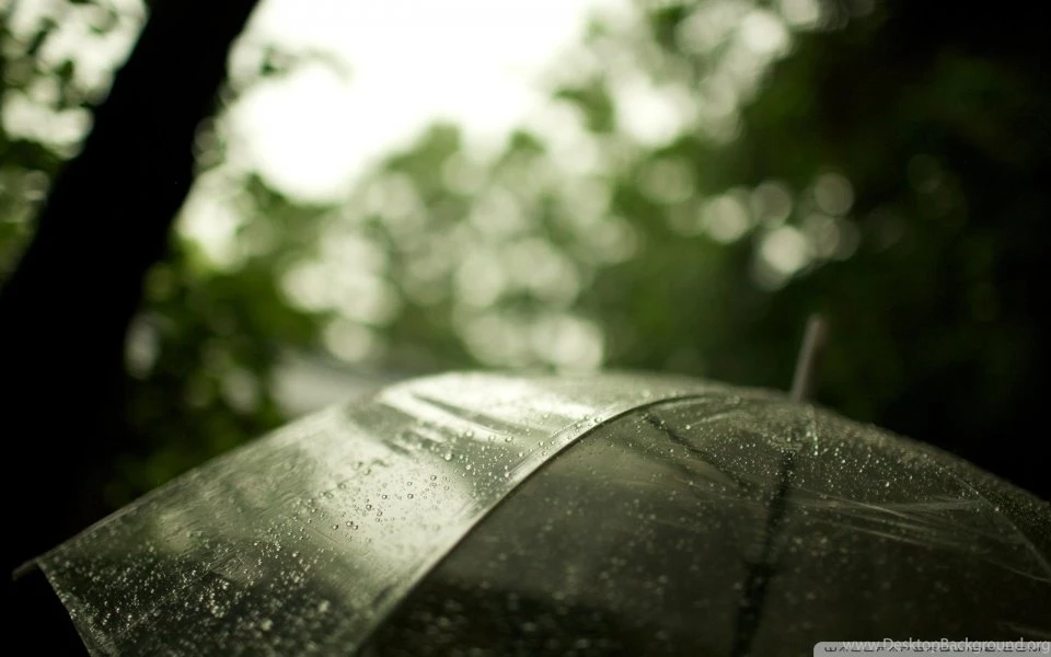 Transparent Umbrella HD Desktop Wallpapers : High Definition ...