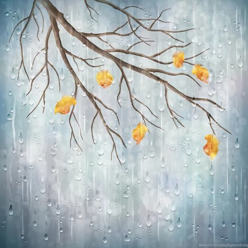 Autumn Leaves With Raindrop Vector Backgrounds Vector Backgrounds ...