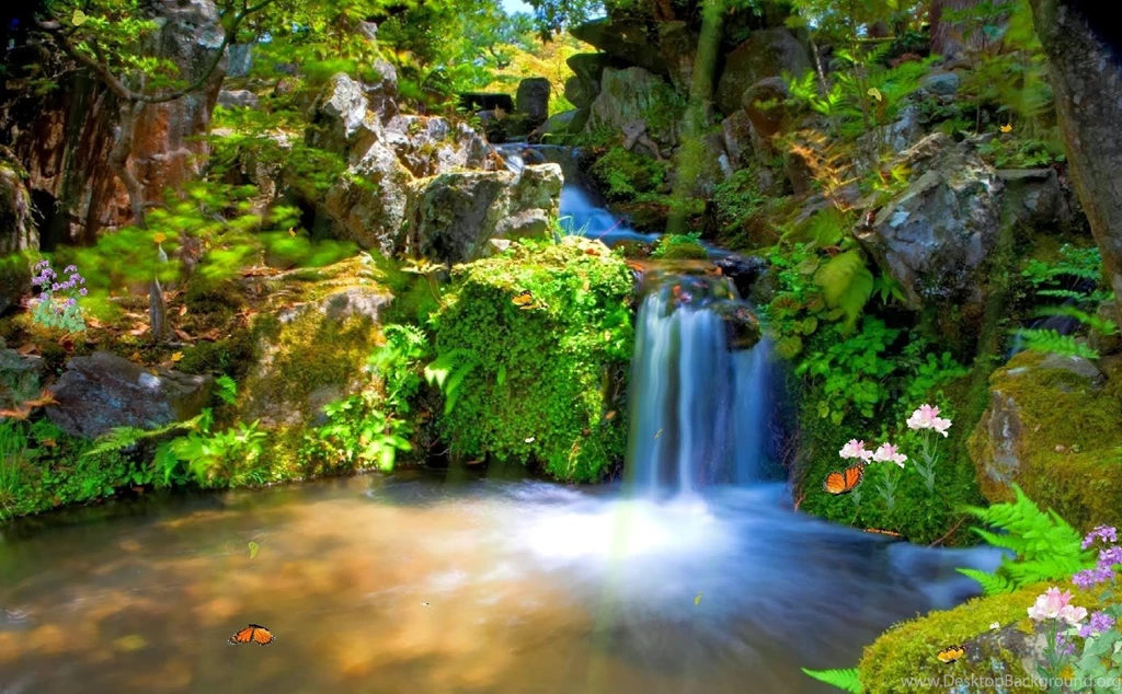 Desktop Animated Phone Wallpapers Download