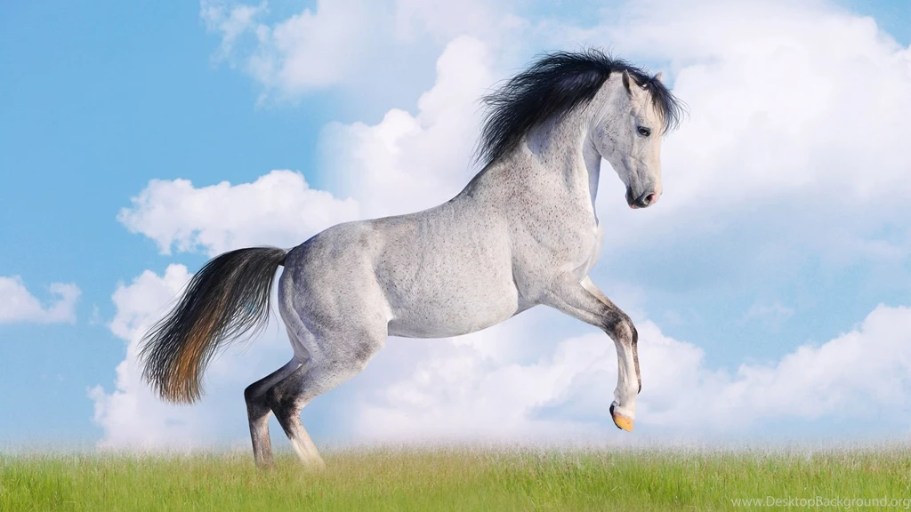 White Horse