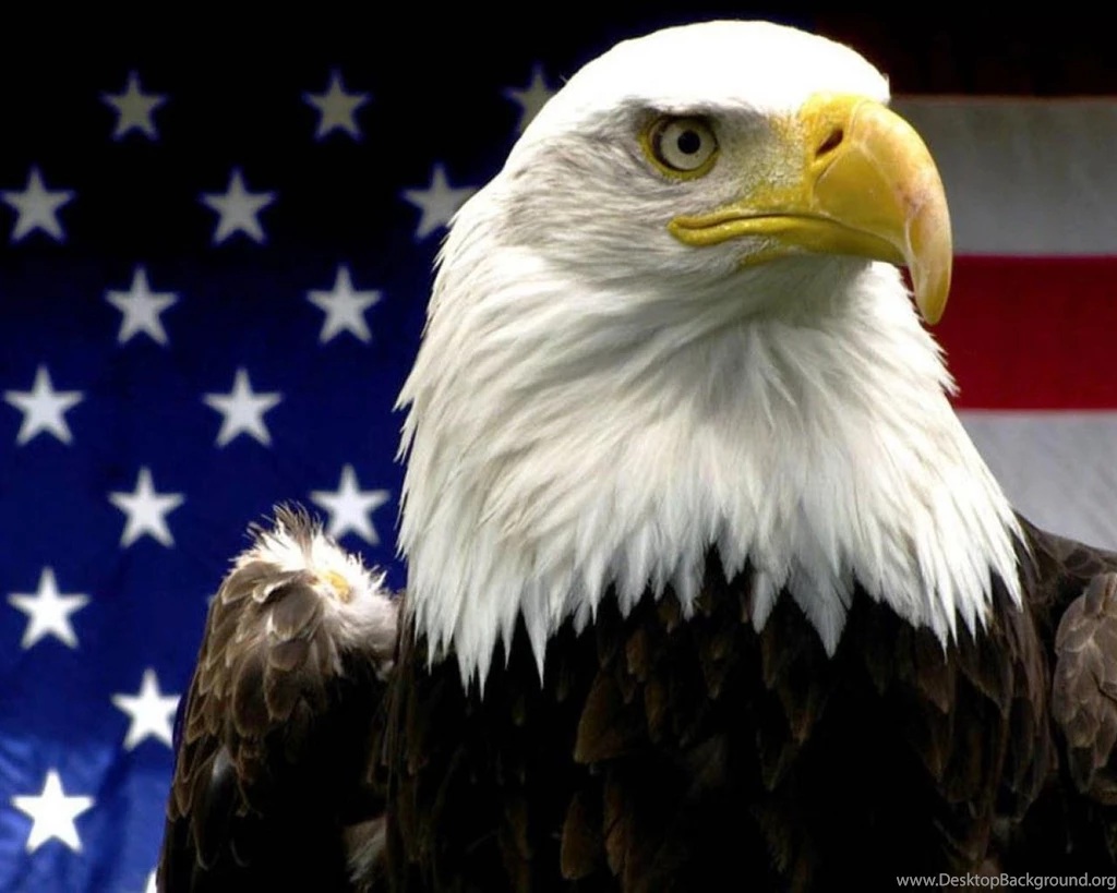 American Eagle (