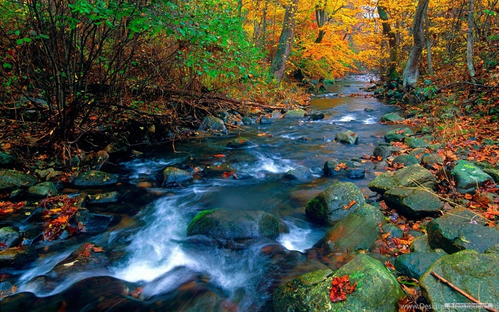 Natural Sceneries Wallpapers For Desktop