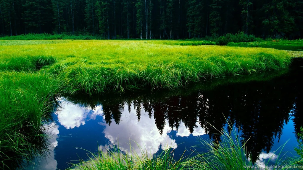 Beautiful Nature Backgrounds Wallpapers For Desktop Backgrounds ...