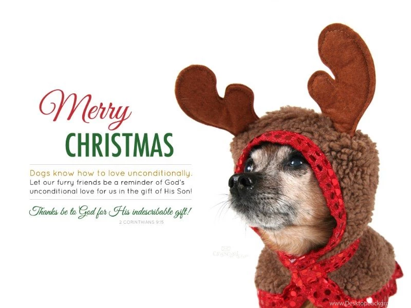 Merry Christmas Love Desktop Wallpapers Free Winter Backgrounds