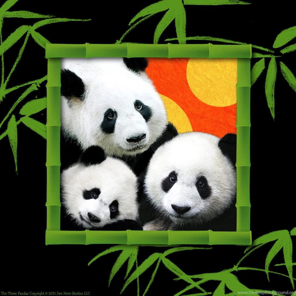 The Three Pandas iPad Storybook