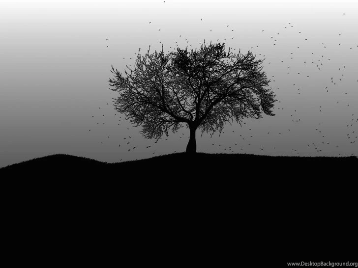 Yep Rainmeter And Rocketdock Rock Or Anything Like It Would ...