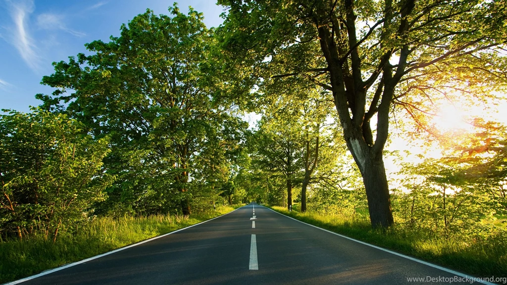 Nature: One Path, Picture Nr. 61388