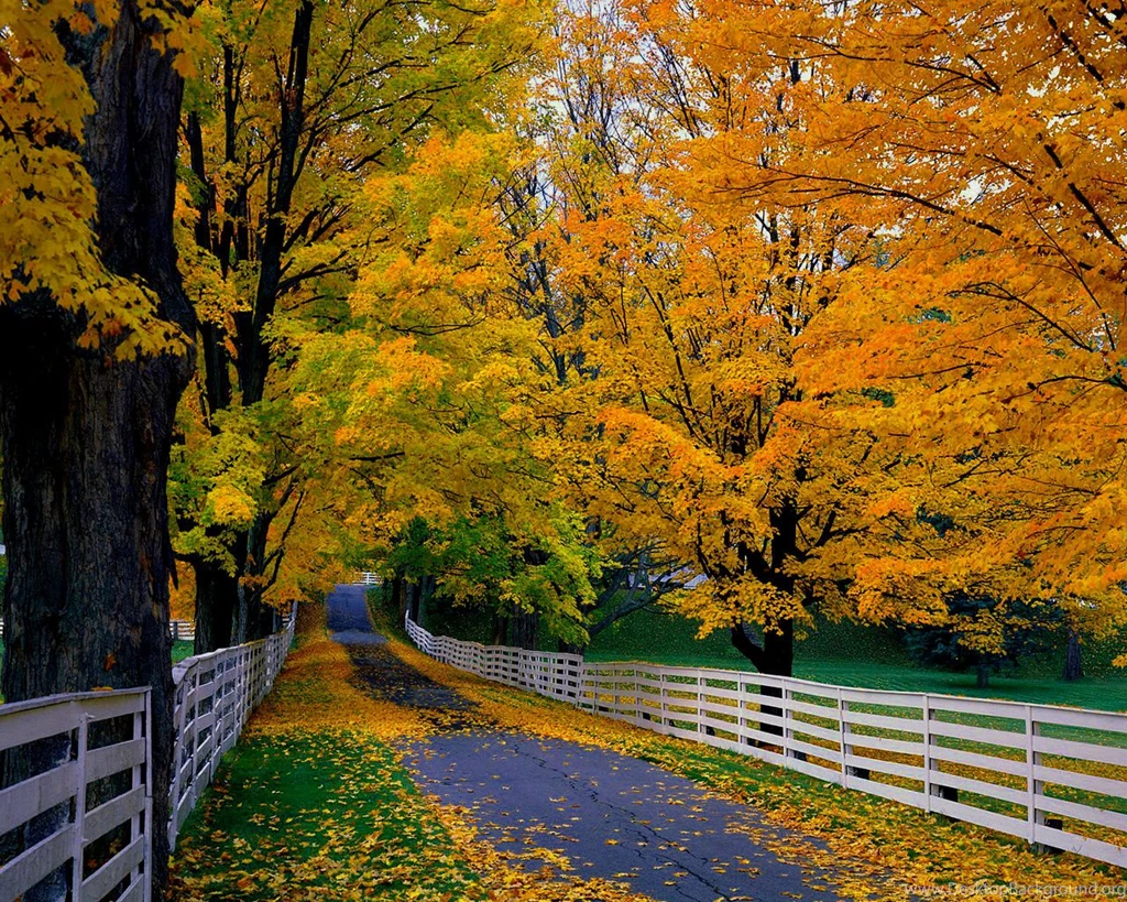 Free Fall Computer Wallpaper Backgrounds – 1920×1200 High ...