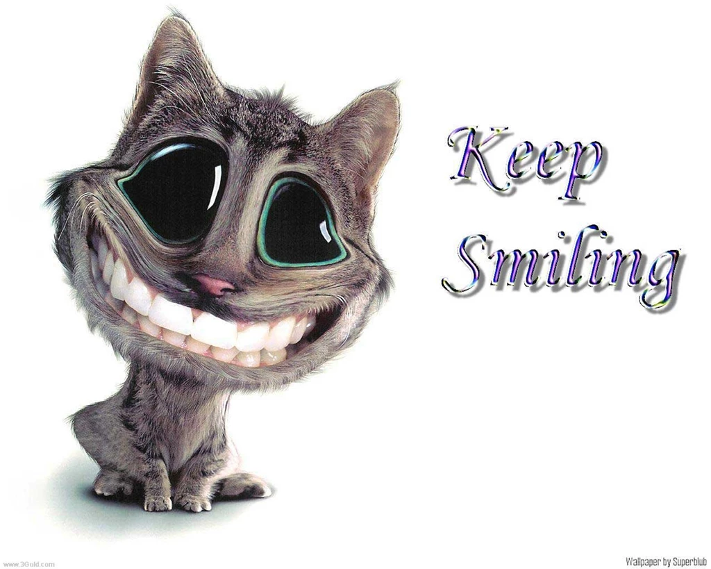 Best Collection Of Funny Wallpapers Wallpapers Gethdpics.com