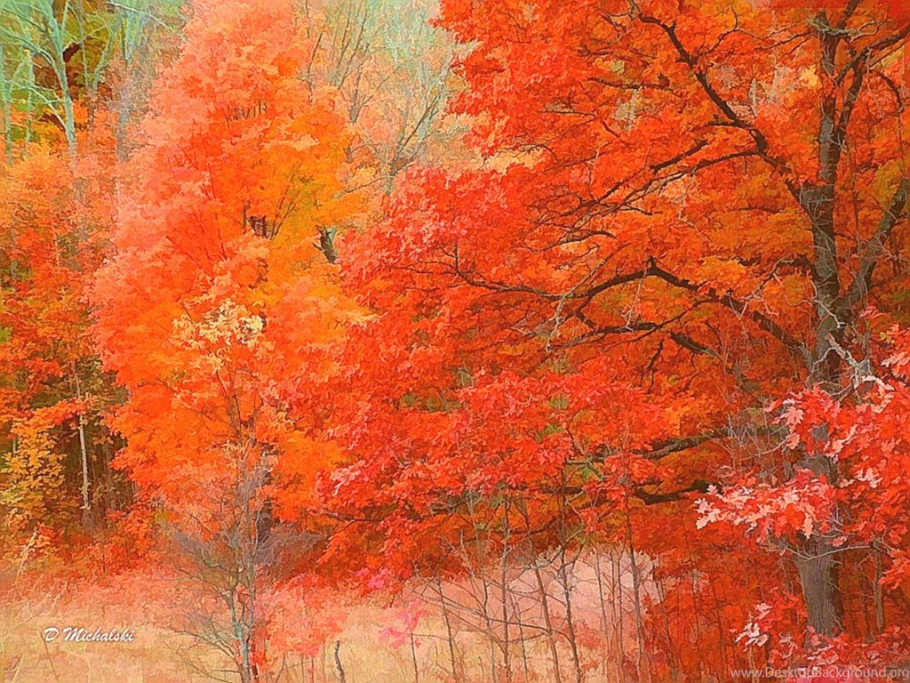 Free Fall Foliage Wallpapers