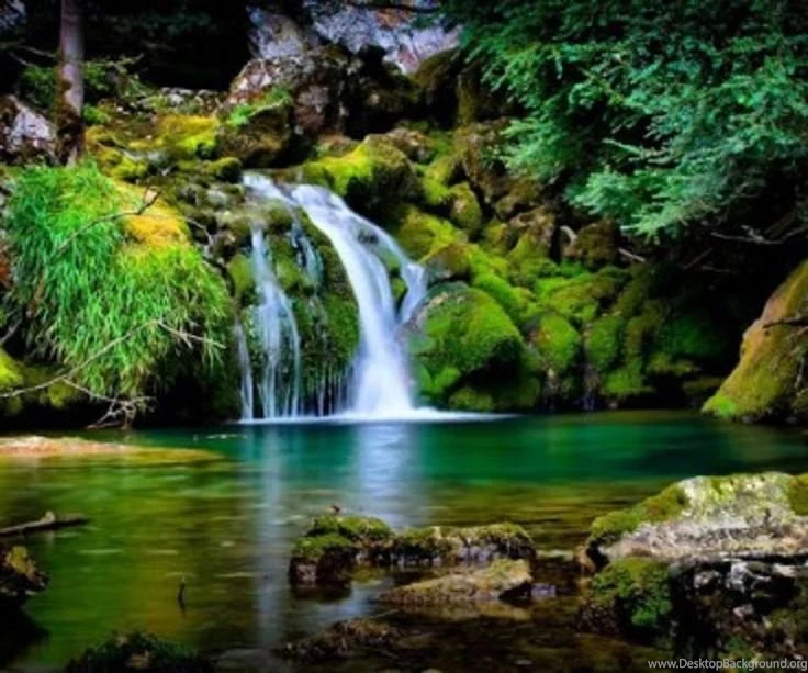 Download The Latest Wallpapers Gallery Of Nature II Wallpapers And ...