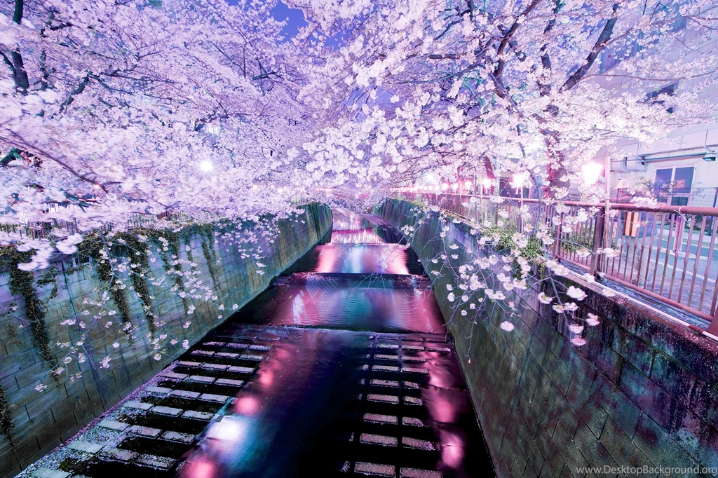 Awesome Scenic Backgrounds