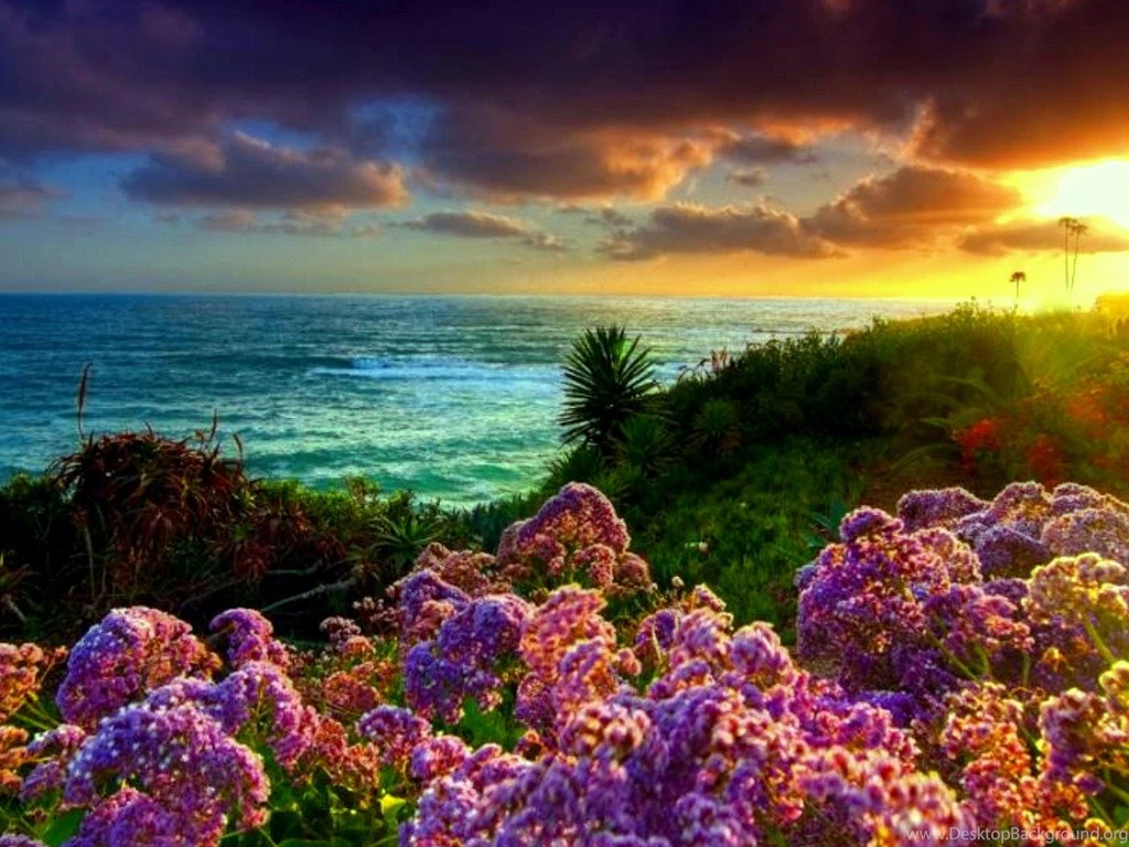 Amazing Scenic Wallpapers