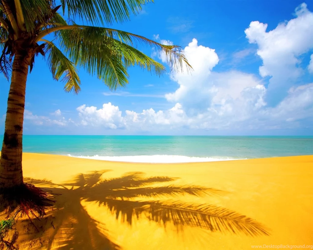 Tropical Background fxUr 10747 Hd Pictures
