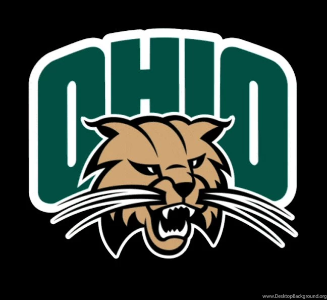 Visible Interactive Bobcat