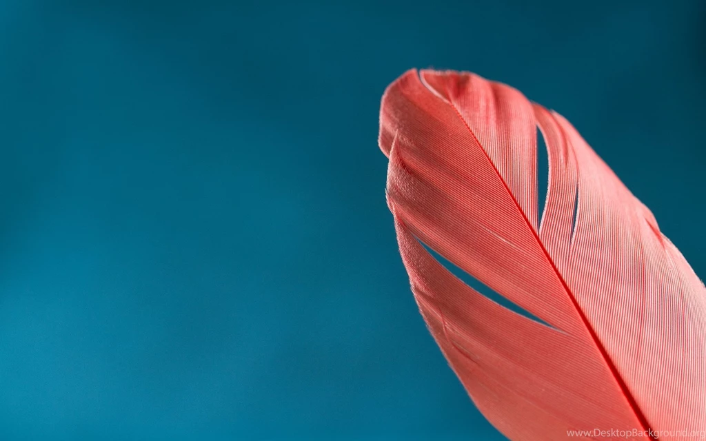 Nice Love Wallpapers