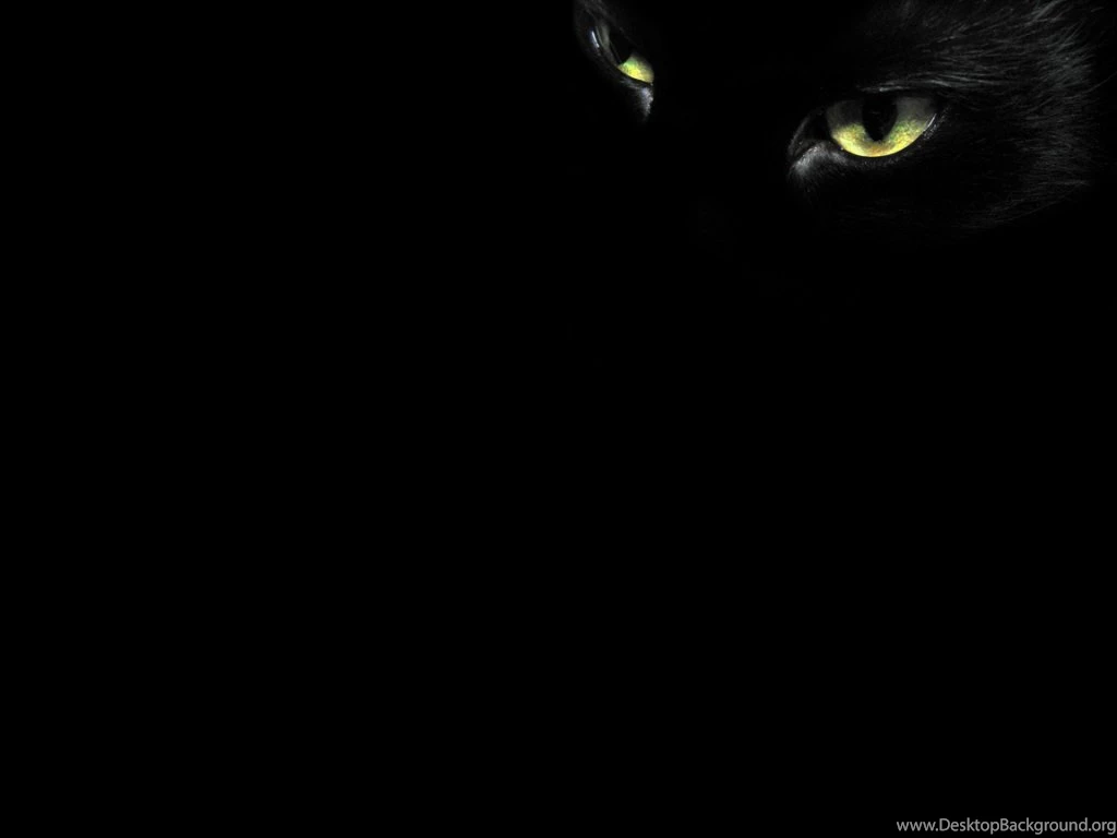 Black cat eyes