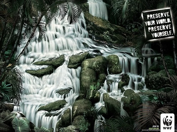 WWF World Wide Fund For Nature (WWF) PSAs Wallpapers 31309 ...