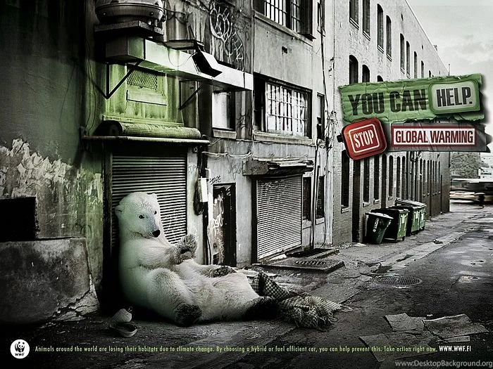 WWF World Wide Fund For Nature (WWF) PSAs Wallpapers 31181 ...