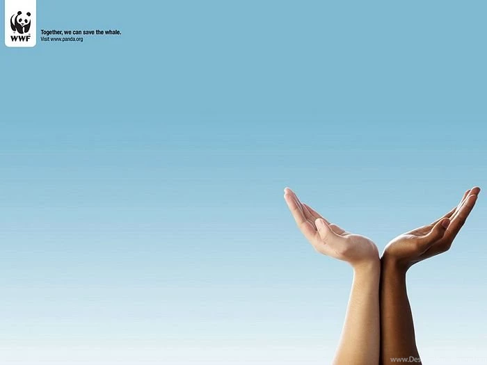 WWF World Wide Fund For Nature (WWF) PSAs Wallpapers 31339 ...