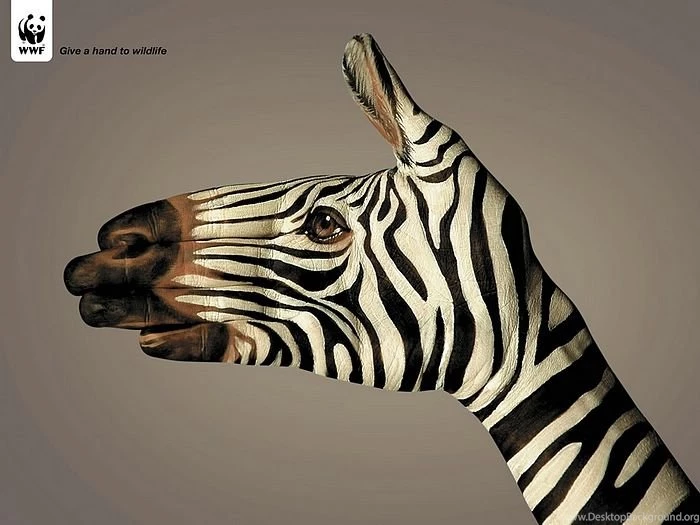WWF World Wide Fund For Nature (WWF) PSAs Wallpapers 31254 ...
