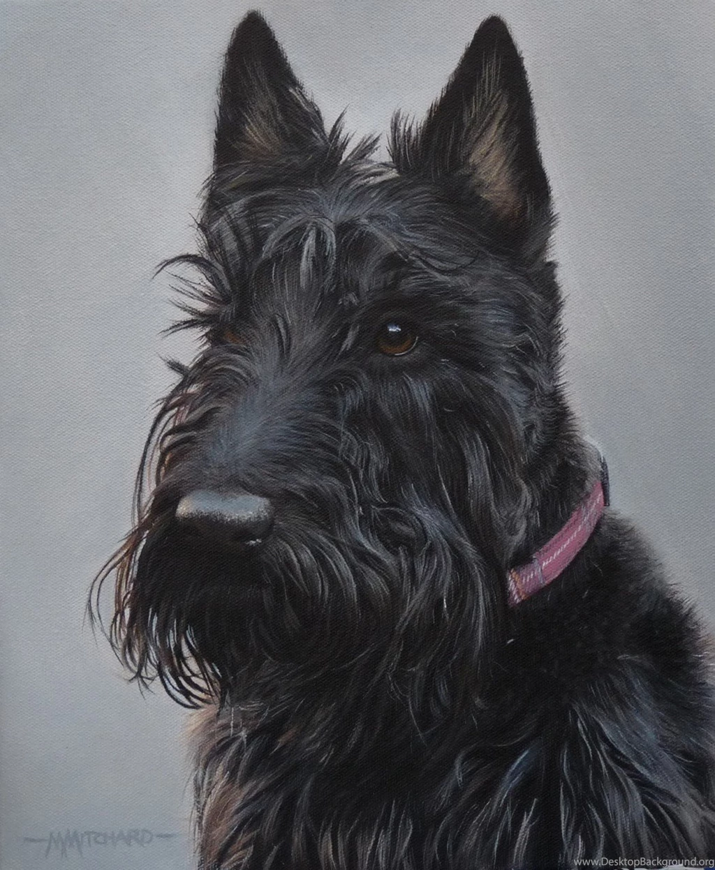 Scottie Dog Images Wallpapers HD Base