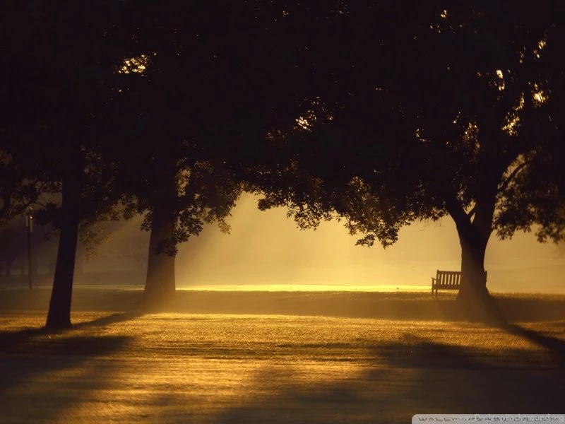 Change With The Seasons With These Amazing, Free Wallpapers