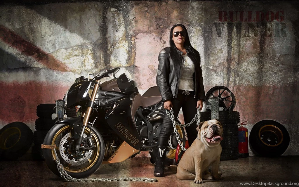 Triumph Speed ​​three Bulldog Custom Edition Motorcycle Wallpapers ...
