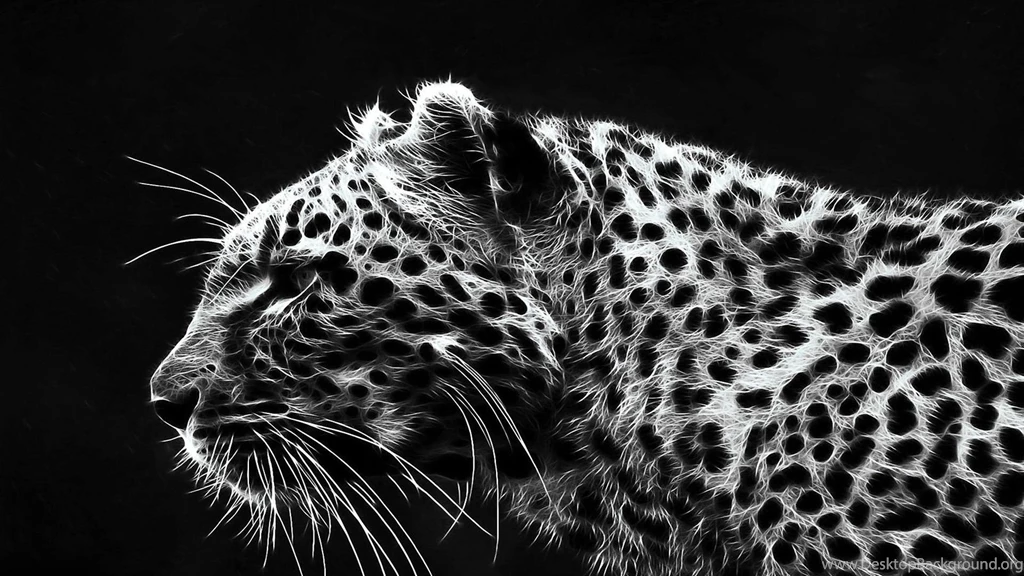 Cheetah Wallpapers  Fancy Free   Android Apps And Tests   AndroidPIT