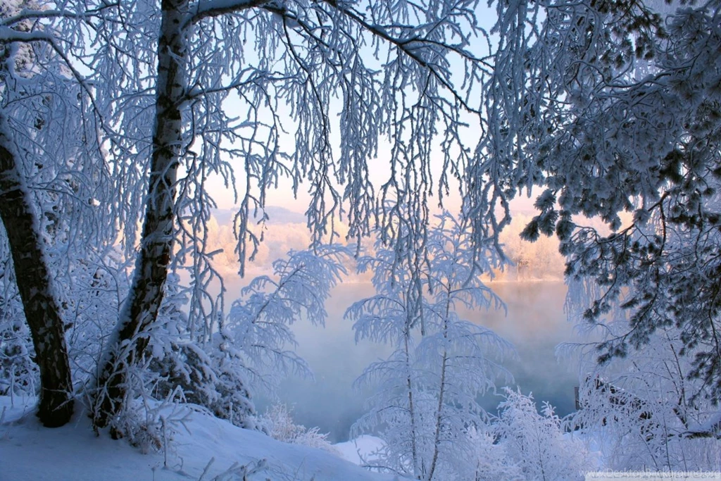 Beautiful Winter Frost HD Desktop Wallpapers : High Definition ...