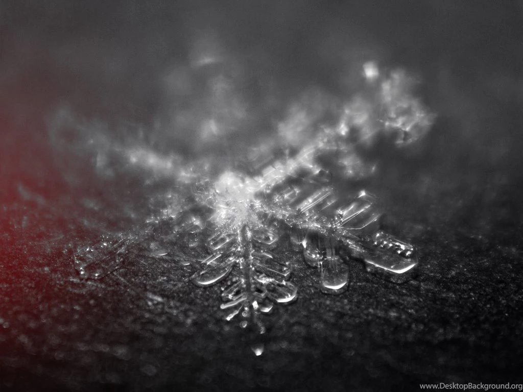 Showcase Of Beautiful Winter Wallpapers Hongkiat