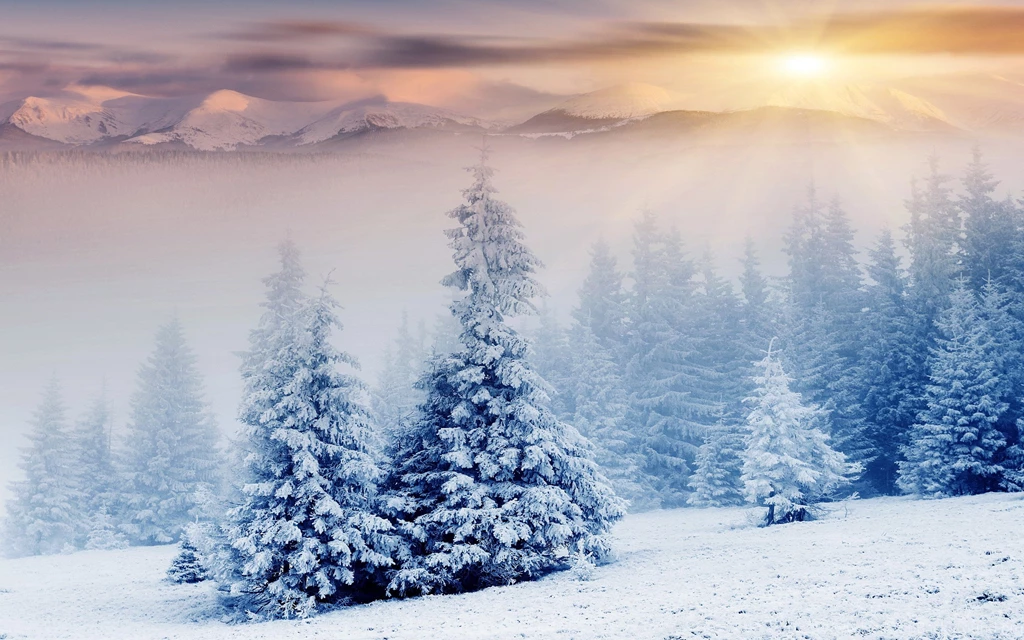 Beautiful Winter wallpaper 17.jpg